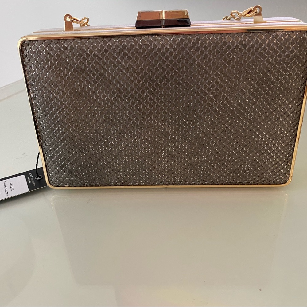 BCBG Maxzaria Clutch